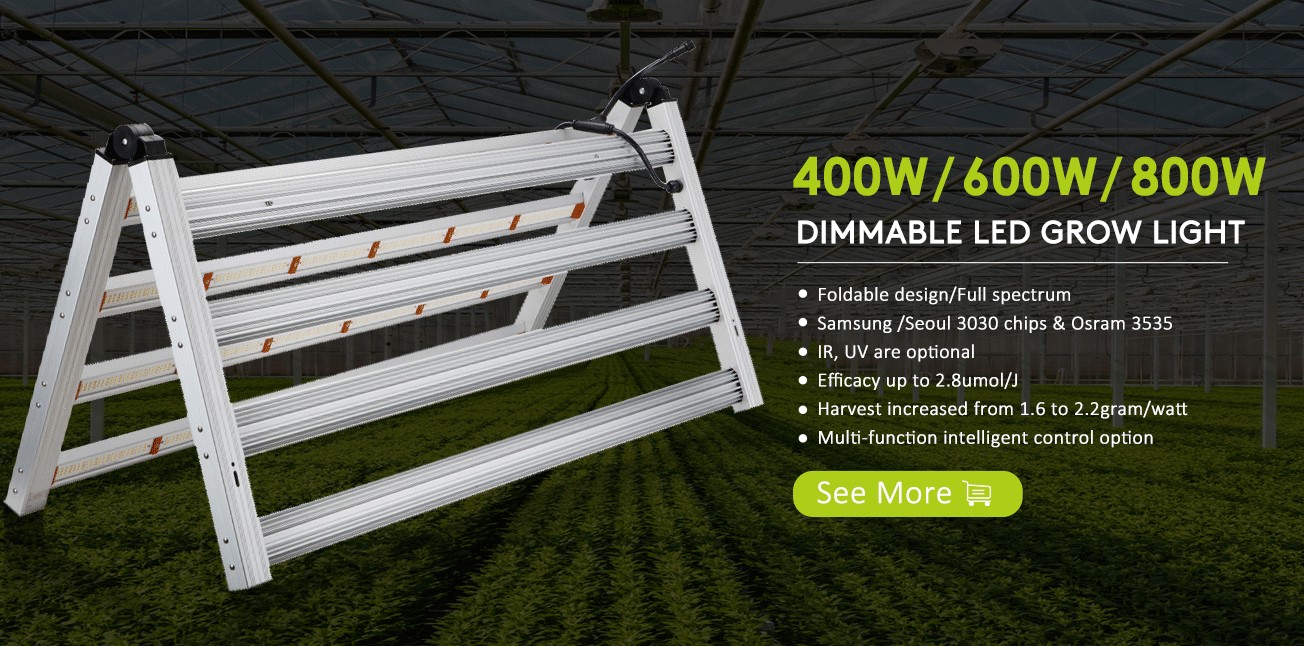 800w led grow light